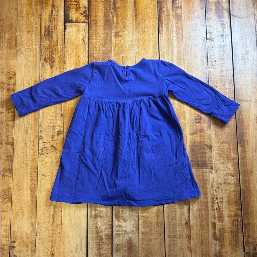 Carter long sleeve dress purple 4T pink embroidered cotton